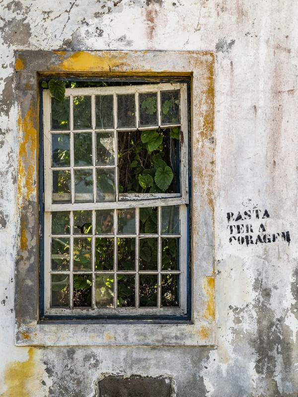JANELA DE SC 05