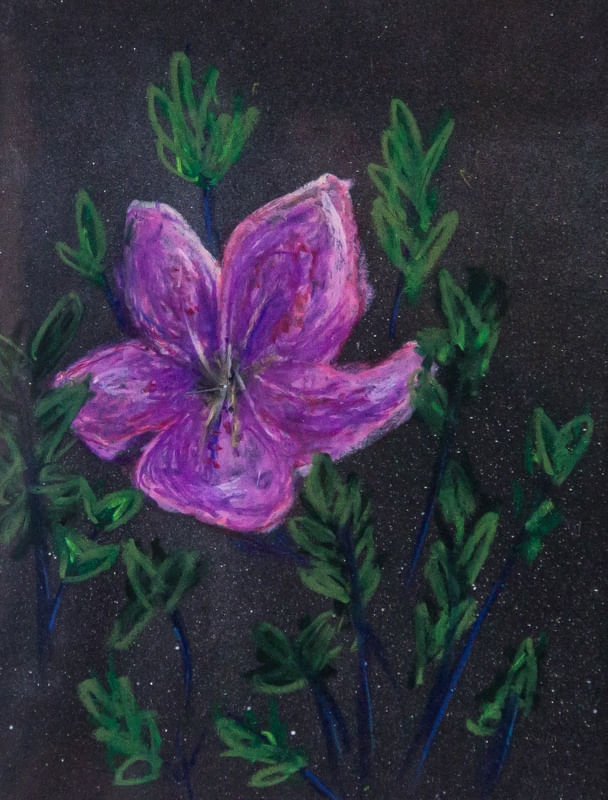 O UNIVERSO DE UMA FLOR