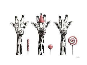 PERALTA, ISAURA E MAGNÓLIA (AS GIRAFAS E OS PIRULITOS)