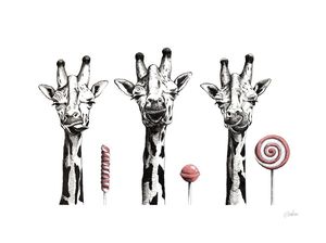 PERALTA, ISAURA E MAGNÓLIA (GIRAFAS E PIRULITOS 2)