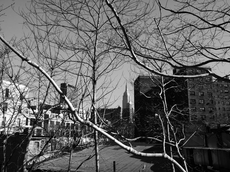 INSIDE NYC _ CENTRAL PARK