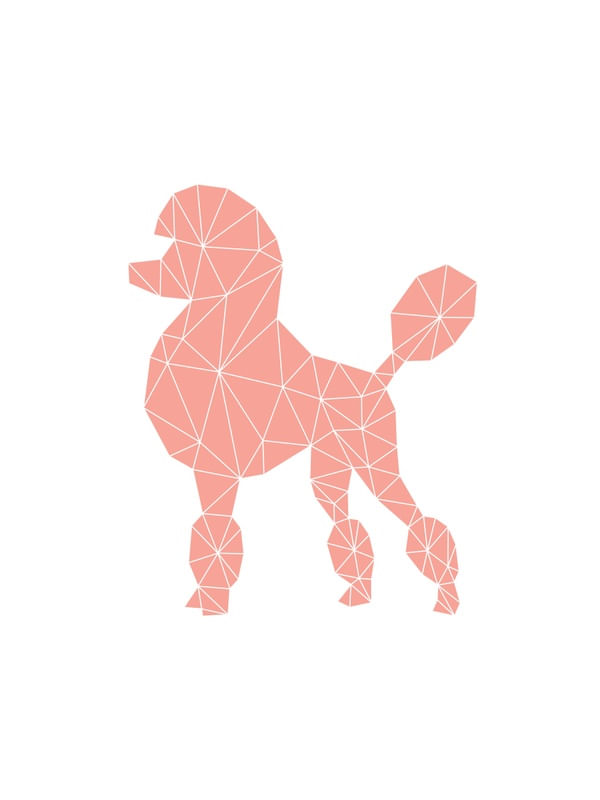POODLE GEOMÉTRICO CORAL