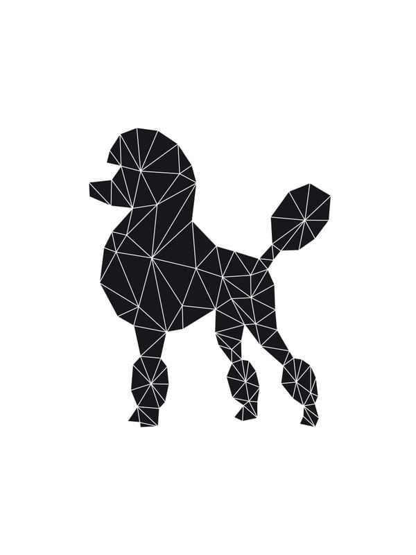 POODLE GEOMÉTRICO PRETO