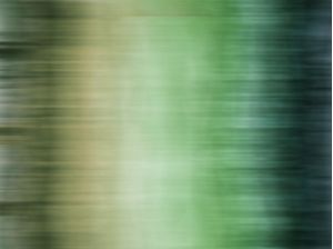 COLORTONE 6