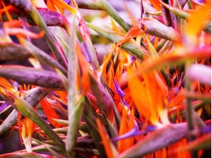MISTURA DE CORES
