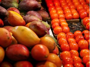 FEIRA COLORIDA