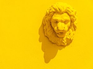 YELLOW LION