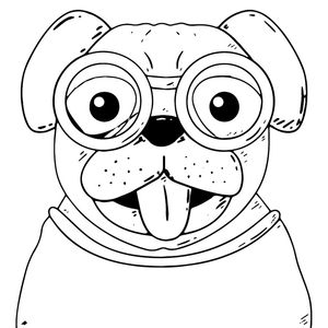 FUNNY DOG