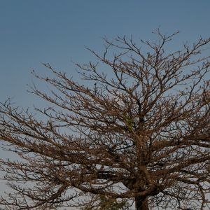 NATUREZA URBANA 000
