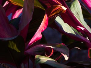 NATUREZA URBANA 005
