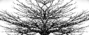 NATUREZA URBANA 014