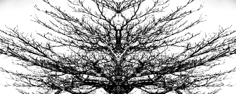 NATUREZA URBANA 014
