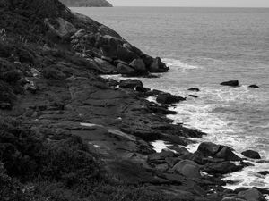 TRILHA DA SOLIDÃO - FLORIANÓPOLIS