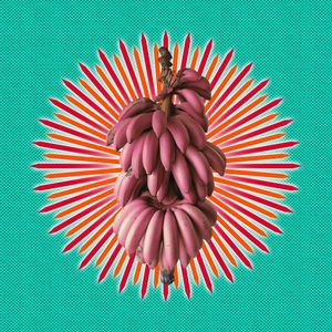 UM CACHO DE BANANAS