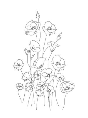 POPPY FLOWERS LINE ART