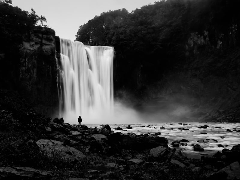 CONTEMPLANDO A CACHOEIRA
