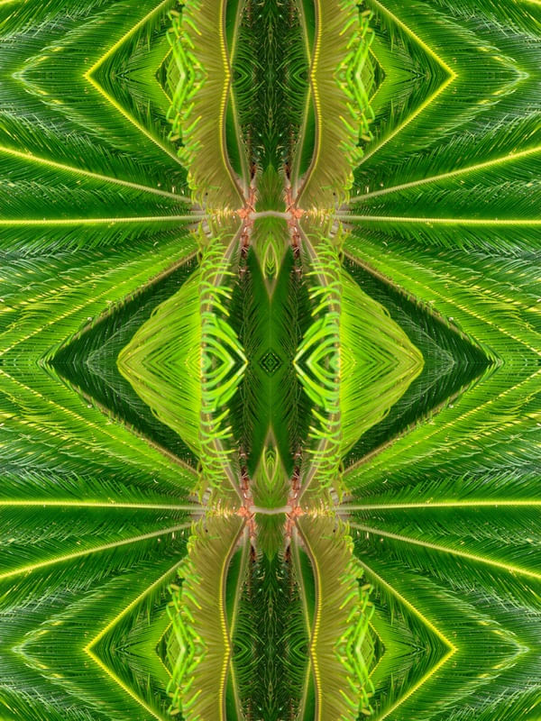 NOVA IMAGEM VERDE DA NATUREZA 001