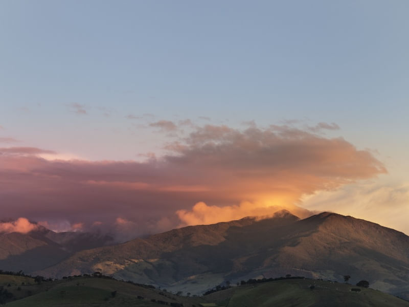 MANTIQUEIRA