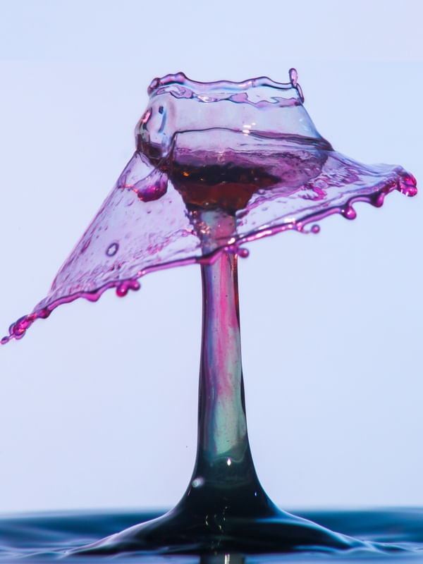 SPLASH - GOTA TAÇA DA NOIVA