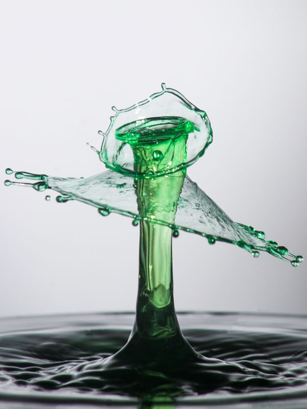 SPLASH - GOTA TAÇA VERDE