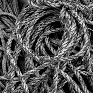 CORDAS IN BW