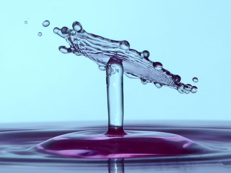 SPLASH - GOTA PLANA