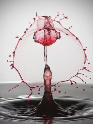 SPLASH - GOTA BAMBOLÊ