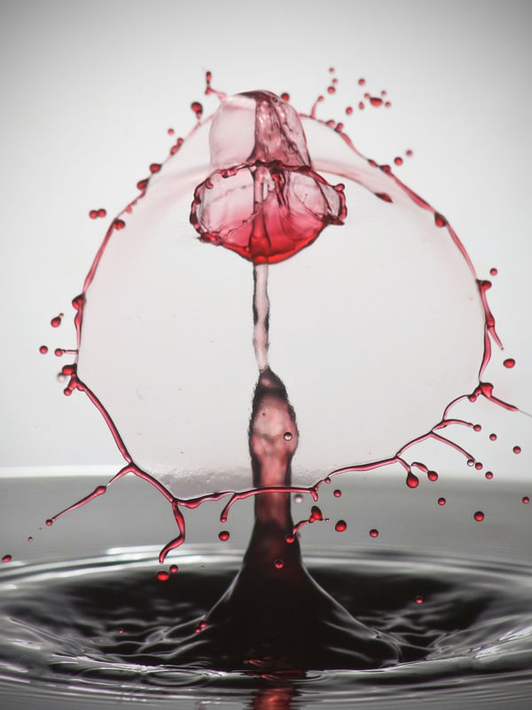SPLASH - GOTA BAMBOLÊ