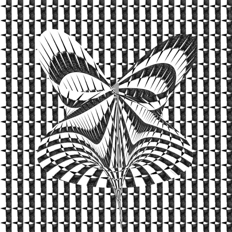BORBOLETA MONOCROMÁTICA
