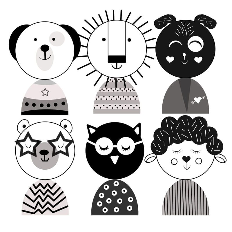 ANIMAIS PB