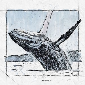 SALTO BALEIA ALTO MAR SKETCH