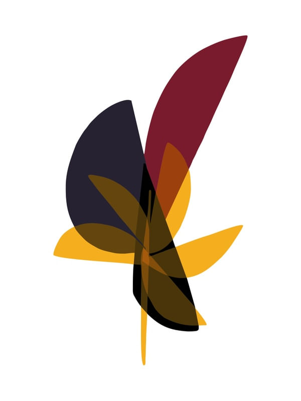 FLORES ABSTRATAS 07