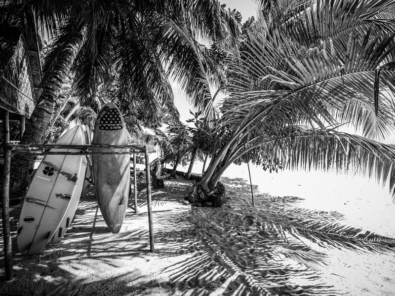 SURF MENTAWAII