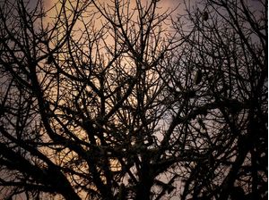O ENTARDECER