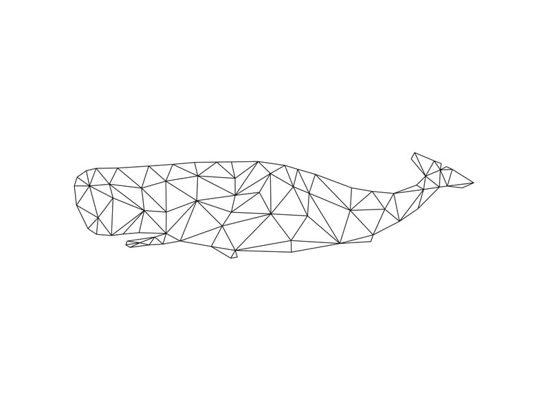 BALEIA GEOMÉTRICA BRANCA