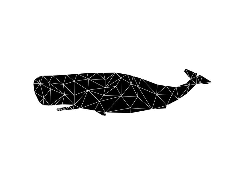BALEIA GEOMÉTRICA PRETA