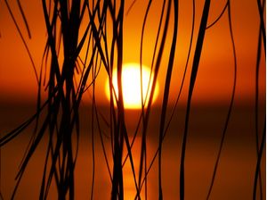 POR DO SOL EM BENGUERRA