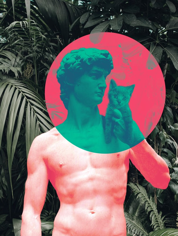 DAVID E O GATO