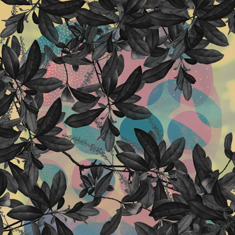 PLANTAS FUNDO ROSA
