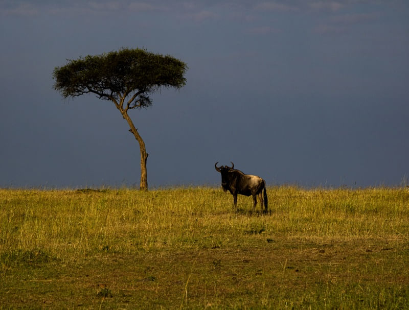 KENYA