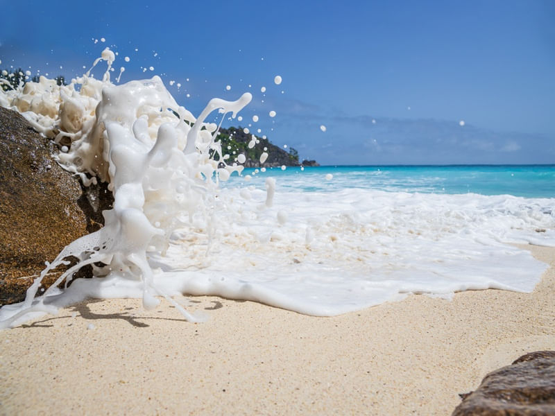 PETIT ANSE