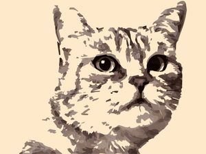 APAIXONADOS POR GATOS