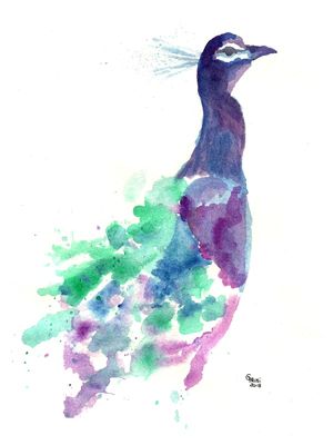PAVÃO AQUARELA