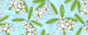 PLUMERIA 1