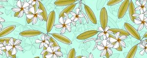 PLUMERIA 2