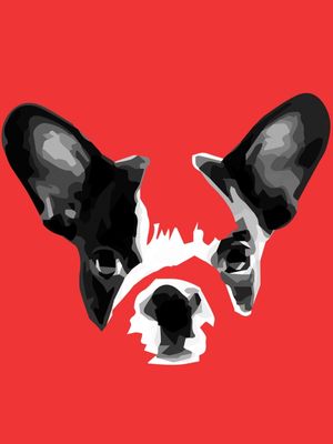 BULDOG FRANCÊS COM FUNDO VERMELHO
