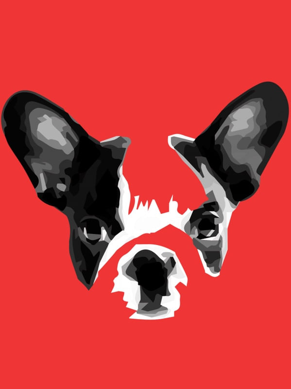 BULDOG FRANCÊS COM FUNDO VERMELHO