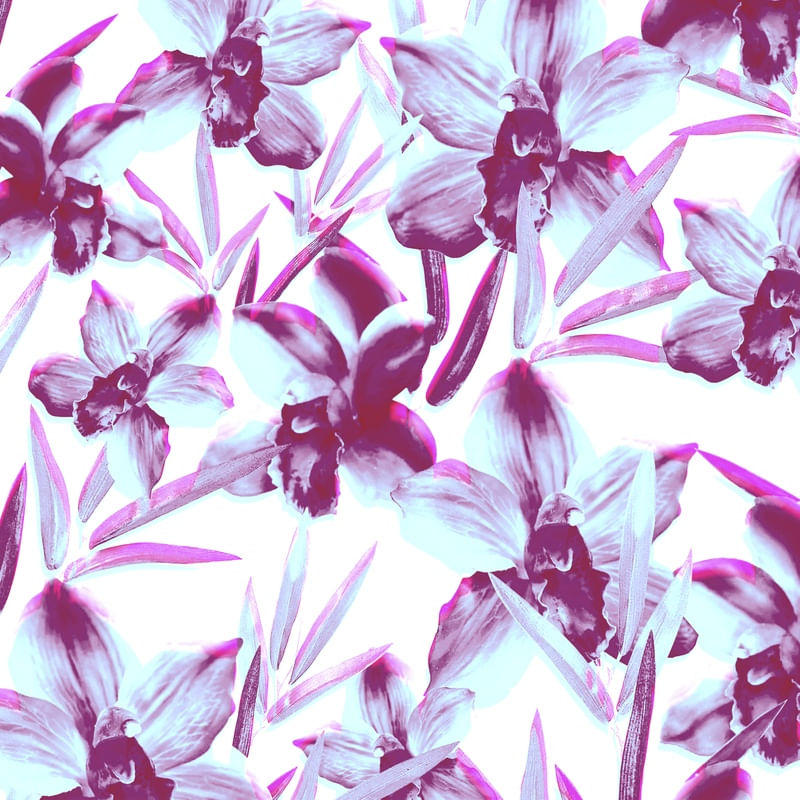 BLURRED FLOWERS