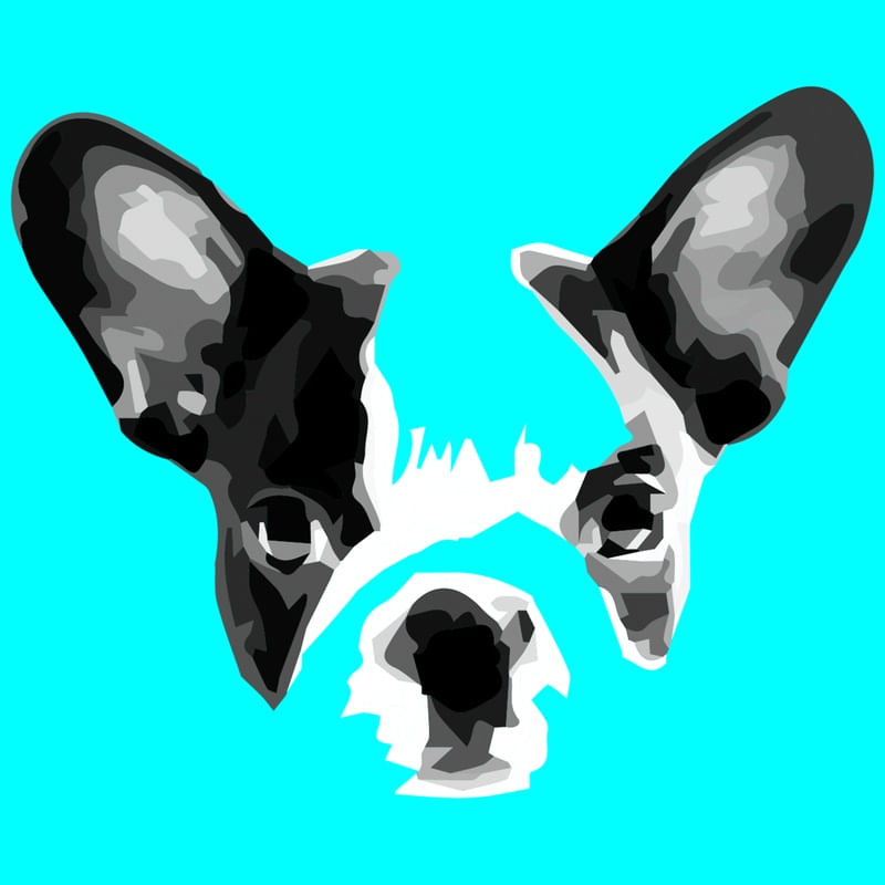 BULLDOG FRANCÊS COM FUNDO AZUL PISCINA