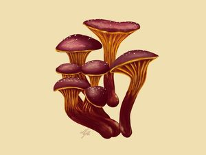 FALL MUSHROOM